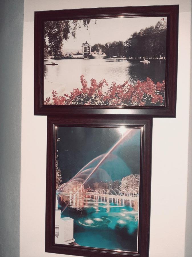 Krivokapic Apartment ซลาตีบอร์ ภายนอก รูปภาพ